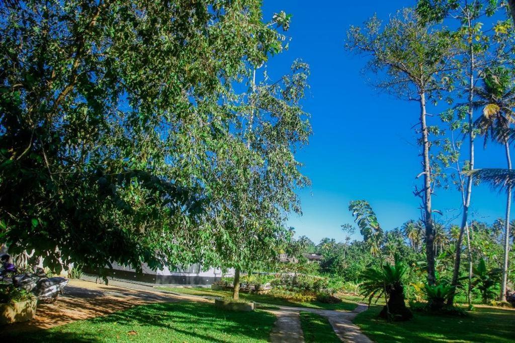 אפרטהוטל ווליגאמה The Glade מראה חיצוני תמונה