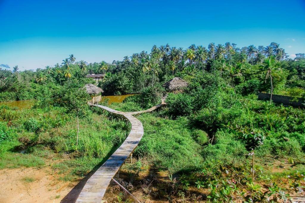אפרטהוטל ווליגאמה The Glade מראה חיצוני תמונה
